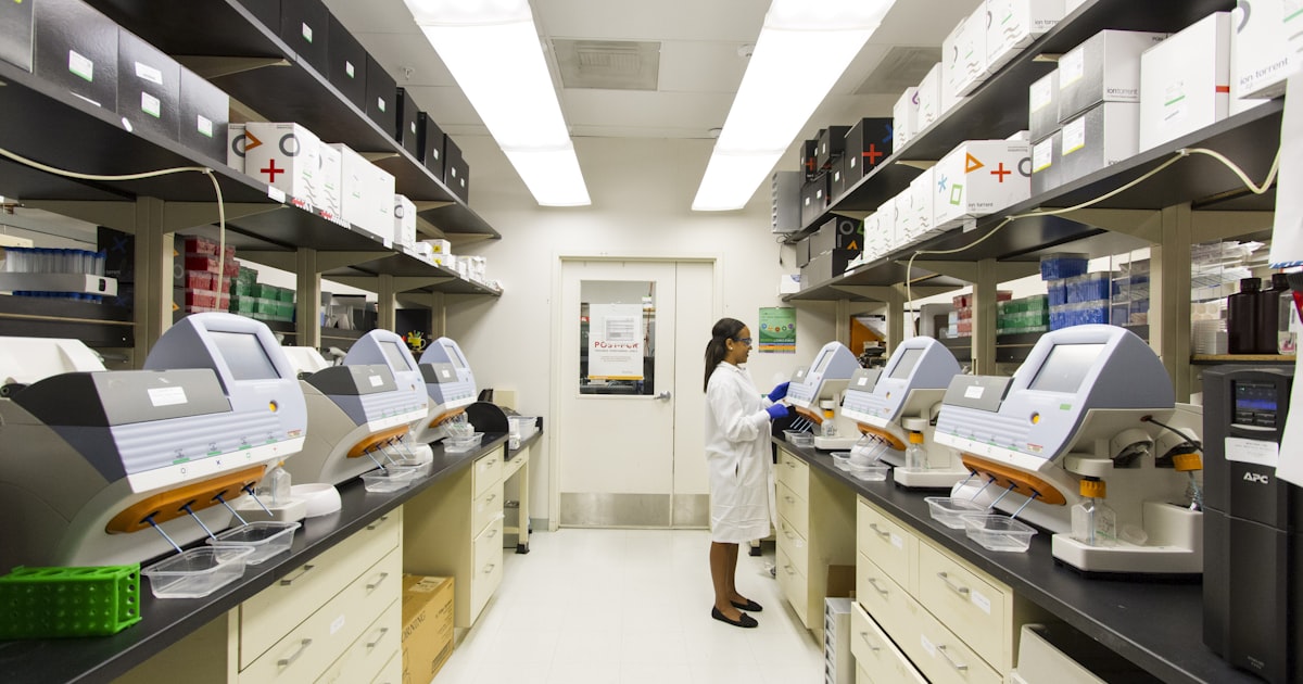 Biological Age vs Chronological Age: How to Measure Your True Age