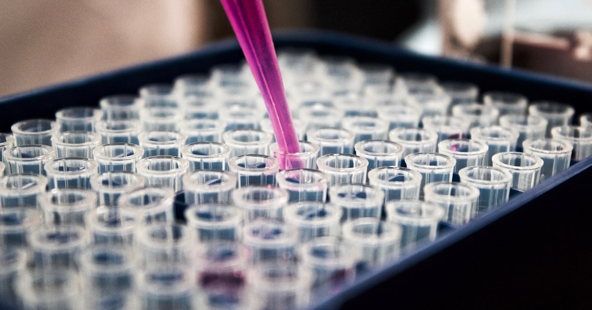 The 12 Hallmarks of Aging: A Complete Guide to the Science of Getting Older